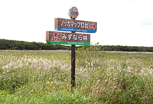 ノッカマップ灯台の入口