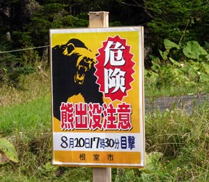 出た、熊出没注意！
