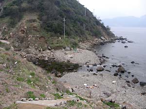 海岸